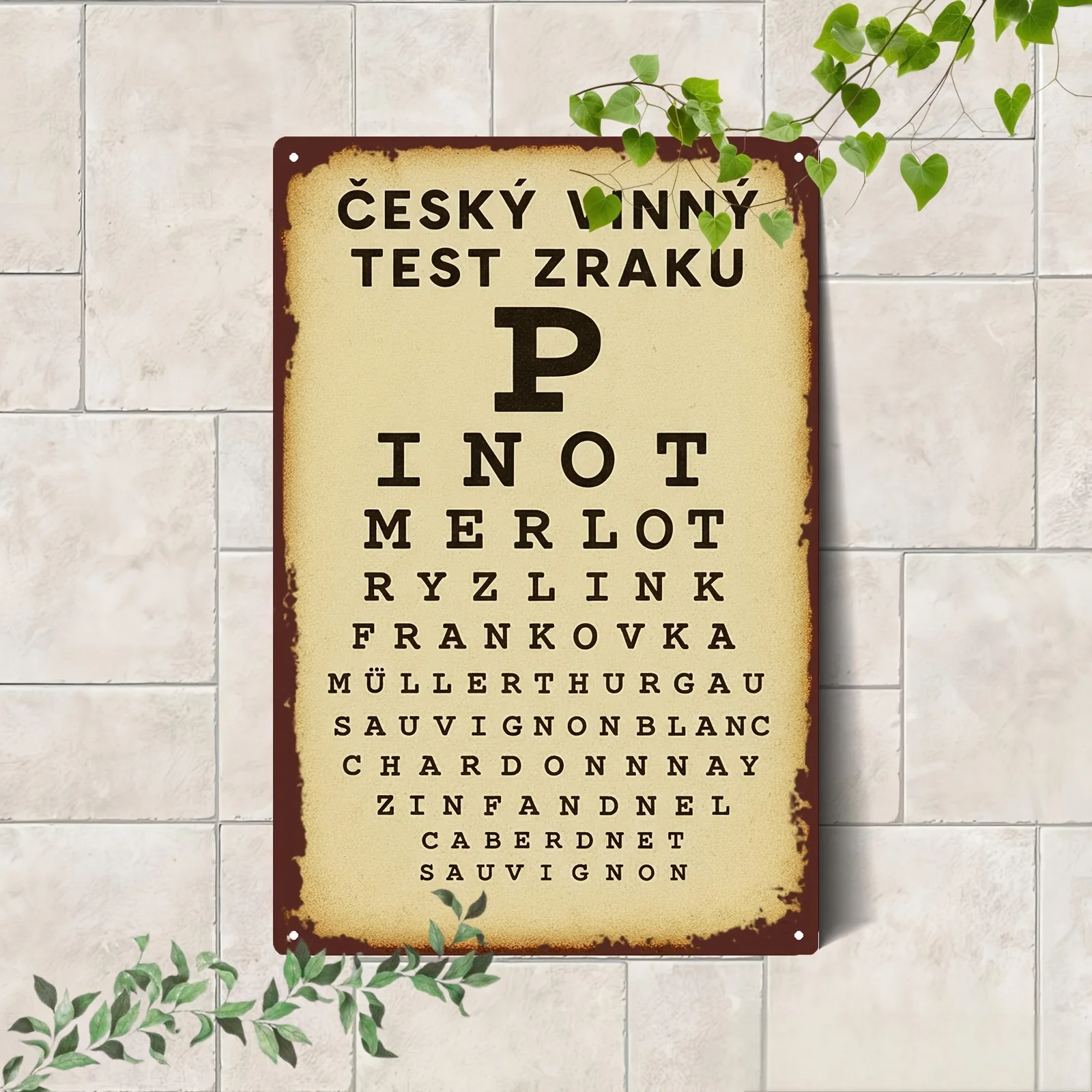 2D Flat - A Vintage Czech Wine Vision Chart Metal Wall Decoration, Measuring 20X30Cm, Featuring a Humorous Wine Vision Test Desi