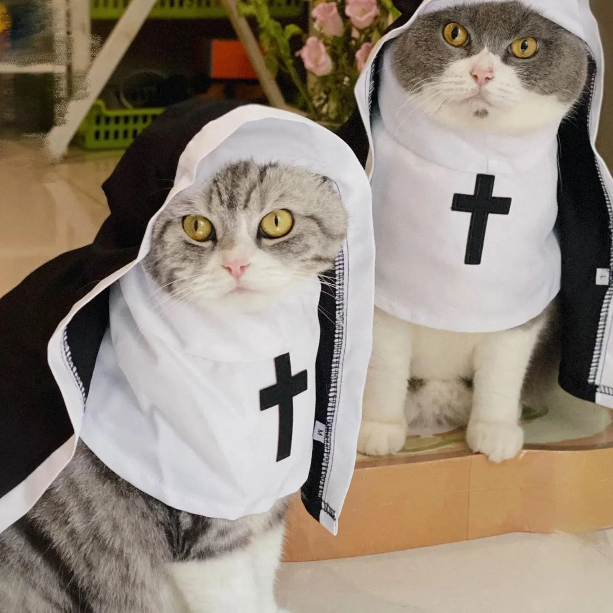 Small repair cat hoodie, pet nun clothing, hooded scarf, funny cat transformation clothing, British short clothing