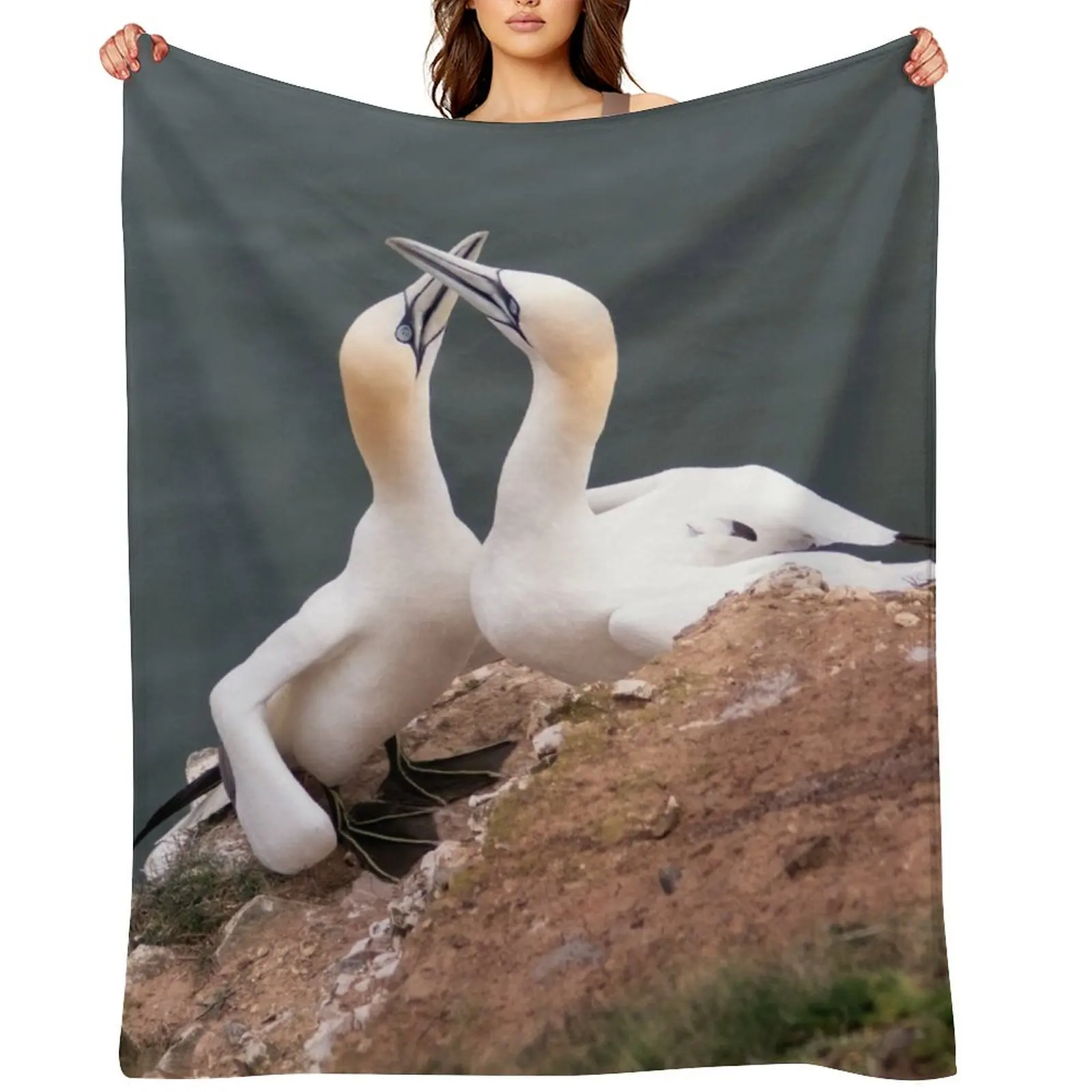 

Pair of gannets Throw Blanket Nap Winter beds Flannel Sofas Blankets