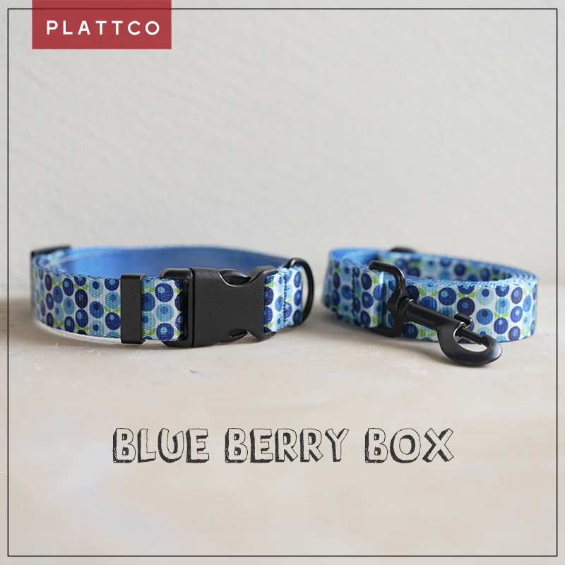 PLATTCO  nylon dog collar leash set BLUE BERRY BOX personalized collar with safety buckle for small medium large dog  PDC328