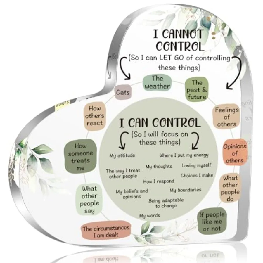 Mental Health Things I Can Control Decor Gifts for n Mindfulness Decor for Therapy Office Acrylic Heart Gifts Psychology Art De