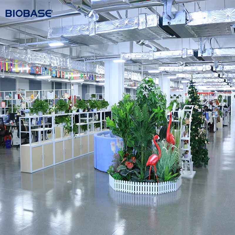 Biobase Two Bottles Chemical Safety Storage Gas Cylinder Cabinet With Gas Leak Detector