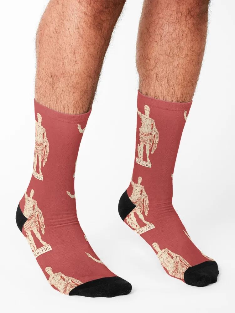 Augustus’s statue Socks socks cotton cute socks cool socks Designer Man Socks Women\'s