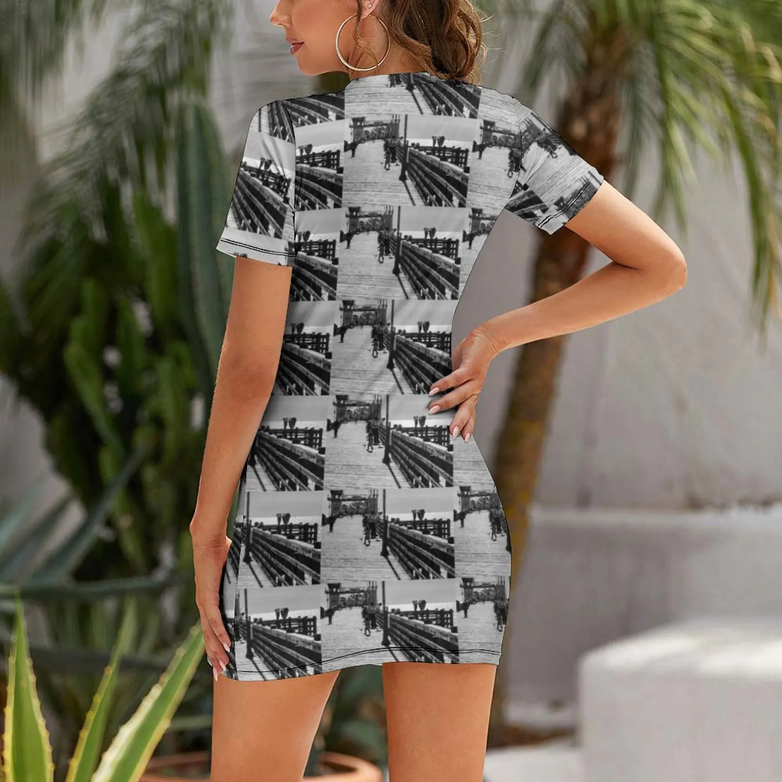 Chasing The Birds on Oceanside Pier Short Sleeved Dress prom dress 2025 women's summer dresses 2025 Woman fashion