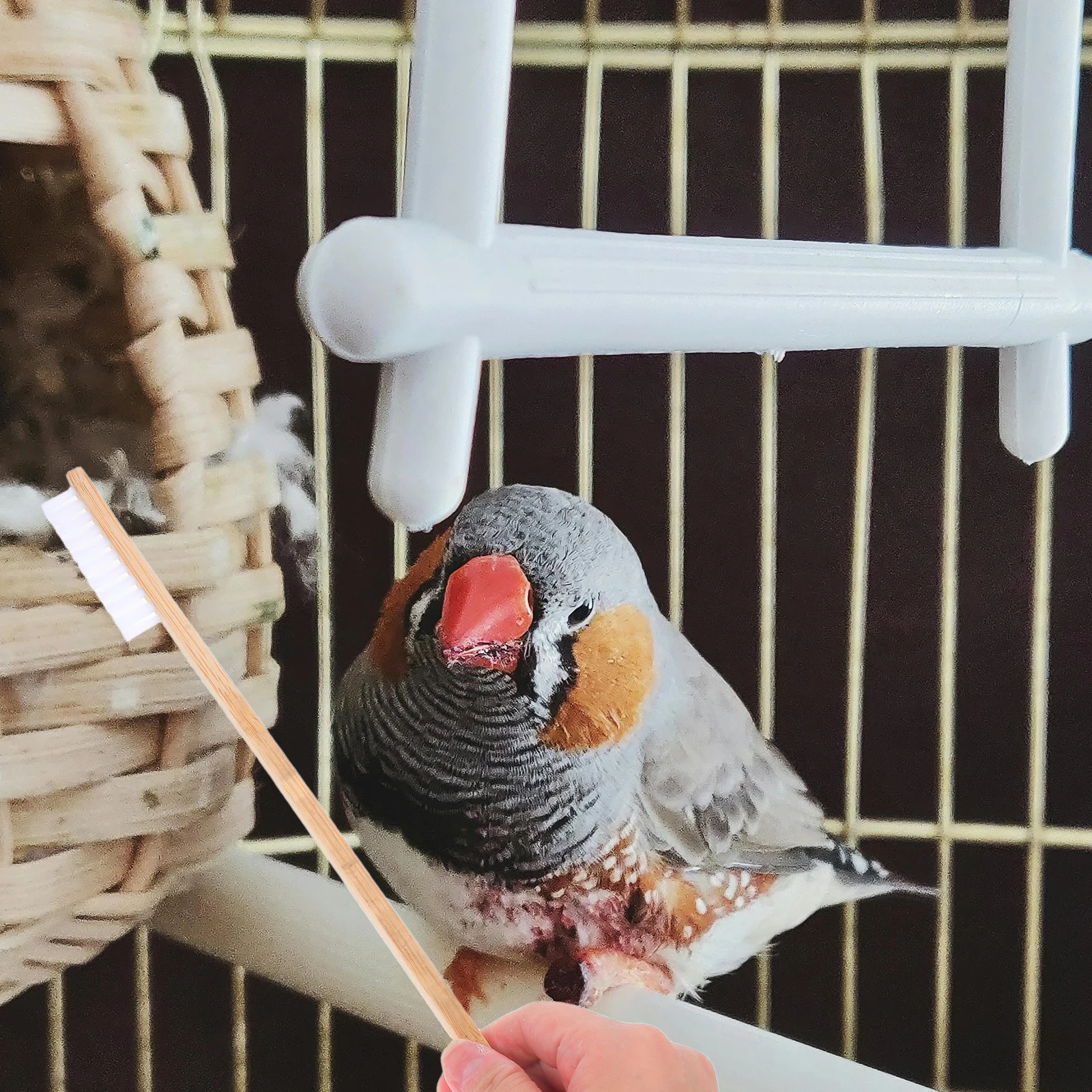 

2pcs Bird Cage Cleaning Brush Poop Scoop Long H Khaki Pet Supplies Accessories Rabbit Hamster Cage Cleaner Durable Efficient