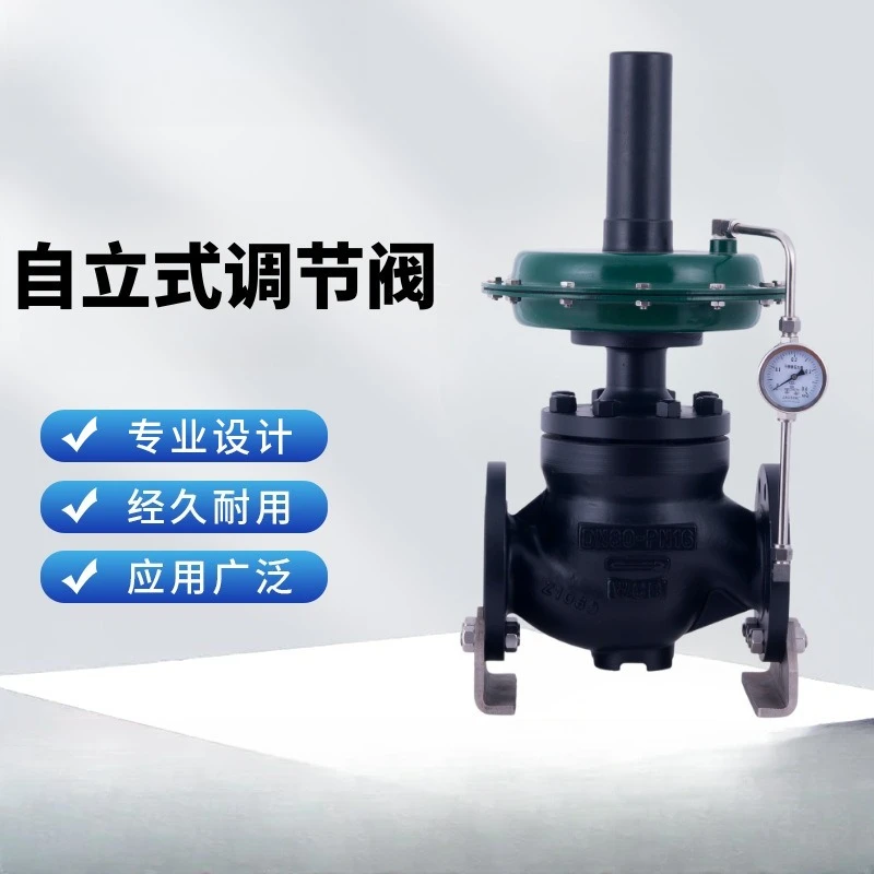 Self-operated multi-specification multi-parameter industrial process control valve without external energy