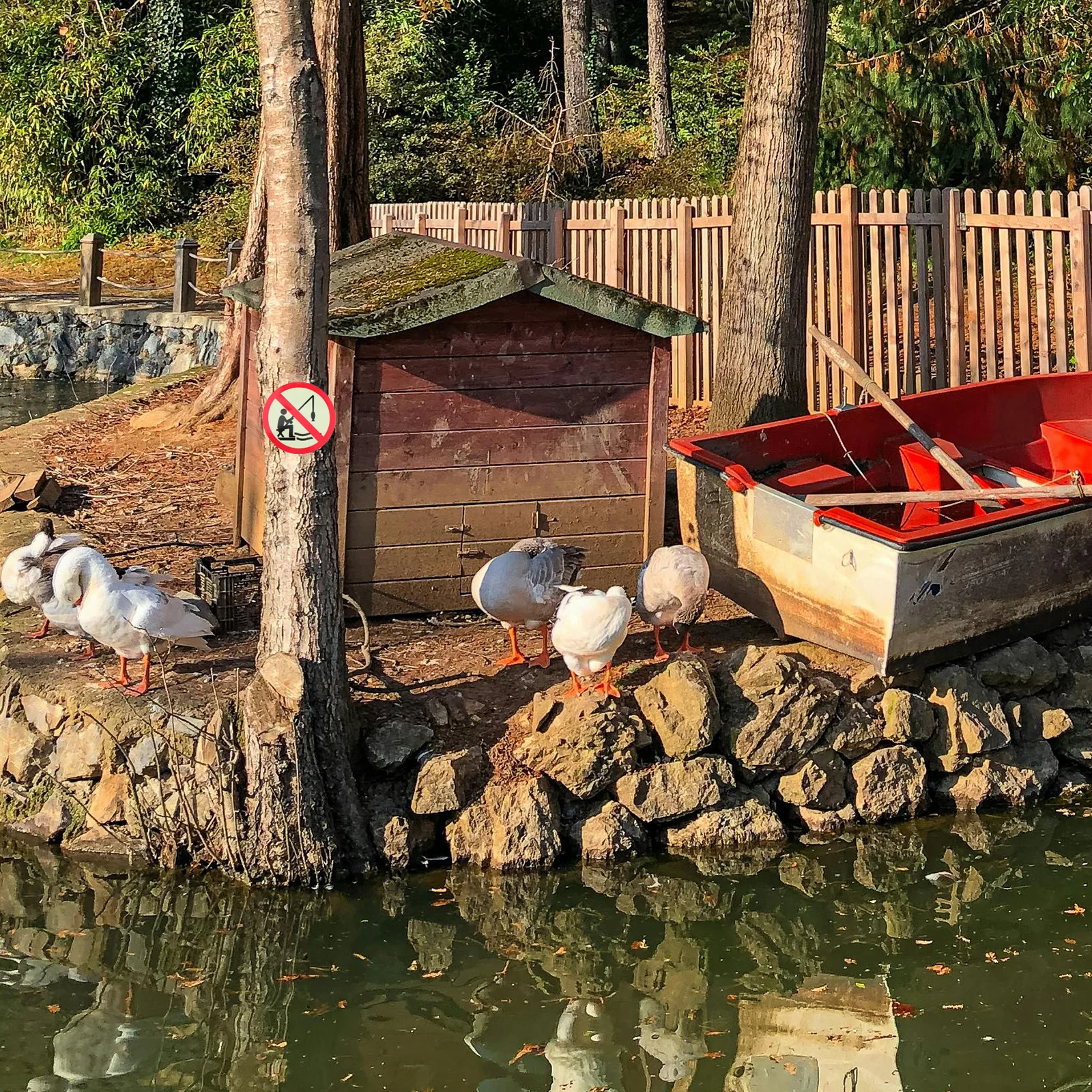 Pegatina de pesca prohibida sin señal luminosa, etiqueta de advertencia autoadhesiva impermeable para parque, lago, estanque, al aire libre, brilla en la oscuridad, 4 Uds.