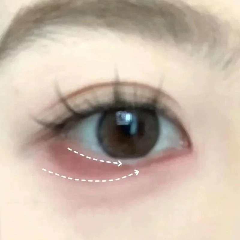 Palette de fards à paupières en poudre monochromes rouge marron, Eyeliner soyeux et mat couché, ver à soie, maquillage imperméable pour les yeux avec brosse