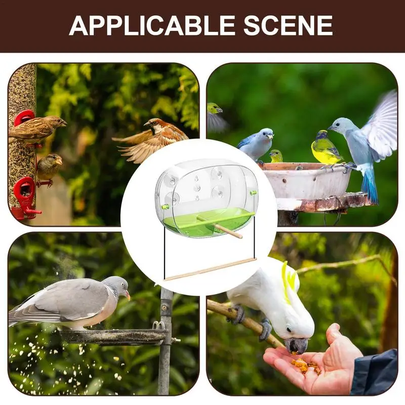 Window Bird Feeder Clear Bird House Bird Watching Window Feeder Effective Bird Watching Bird Feeder Window Mount For Adults