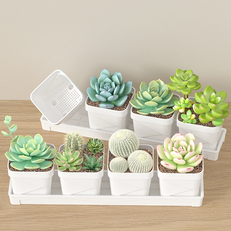 Сочные цветочные горшки в скан – обзор и цена Aloe Vera Pot