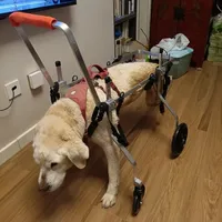 4 Wheels Dog Limb Weakness Auxiliary Brace Spinal Support Pet Paralysis Power Walking Wheelchair Medium and Large Dog Wheelchair