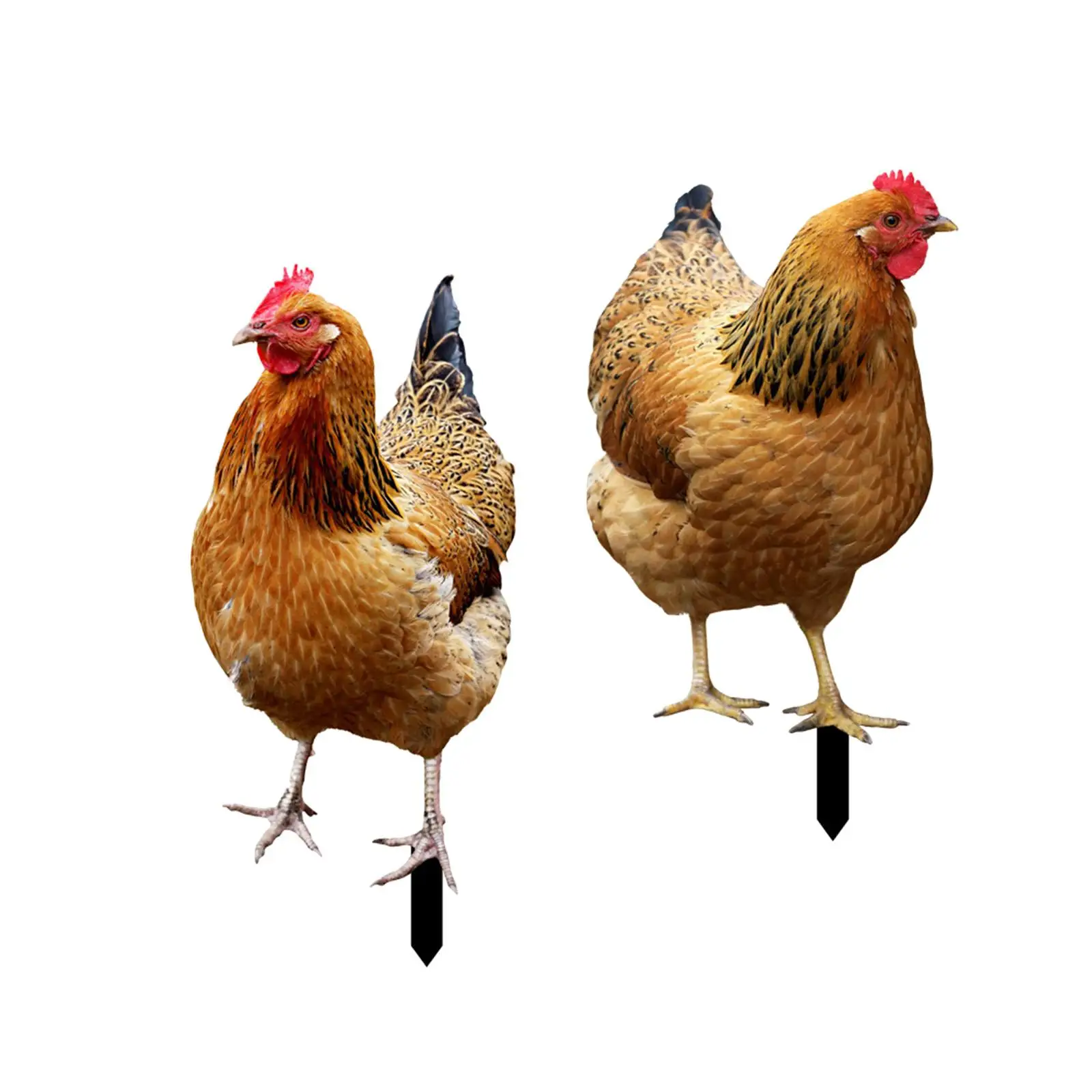 

2 Pieces Hen Statue Garden Stakes Yard Art for Backyard Farmhouse Outdoor