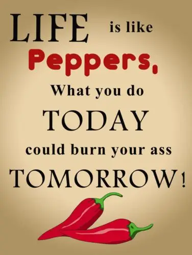 life like pepper Vintage Retro Metal Tin Sign Poster Plaque Garage Wall Decor A4 tin sign
