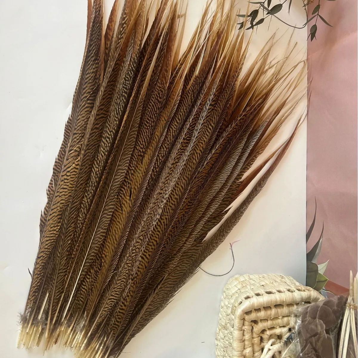 10 قطعة ريش ذيل الدراج 15-60 سنتيمتر الريش الطبيعي DIY بها بنفسك الحرف عيد الميلاد ديكور المنزل Headbands