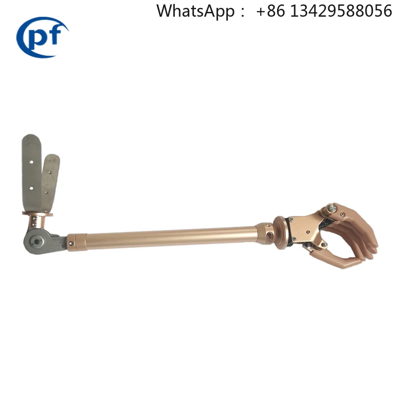 

Prosthetic Hand Prosthetic Sturdy Precise Stable Efficient Arm Skeleton for Elbow Disarticulation for Prosthetics