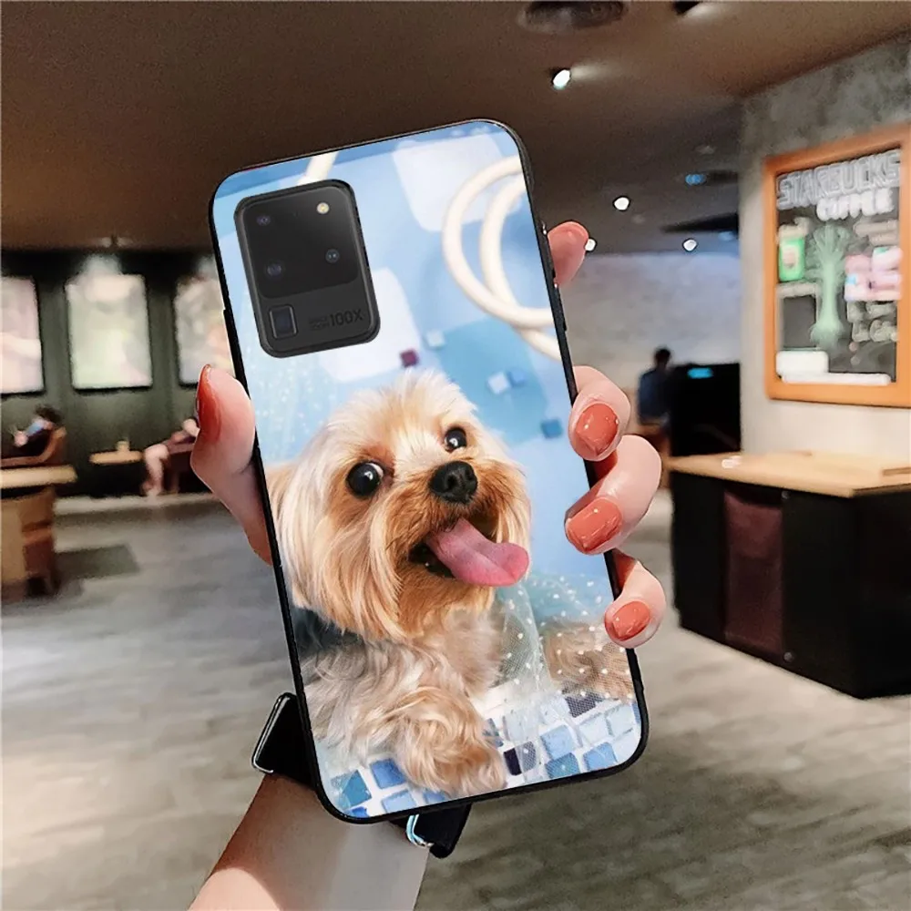 Yorkshire Terrier Dog Phone Case For Samsung S 9 10 20 21 22 23 30 23plus Lite Ultra FE S10lite Fundas