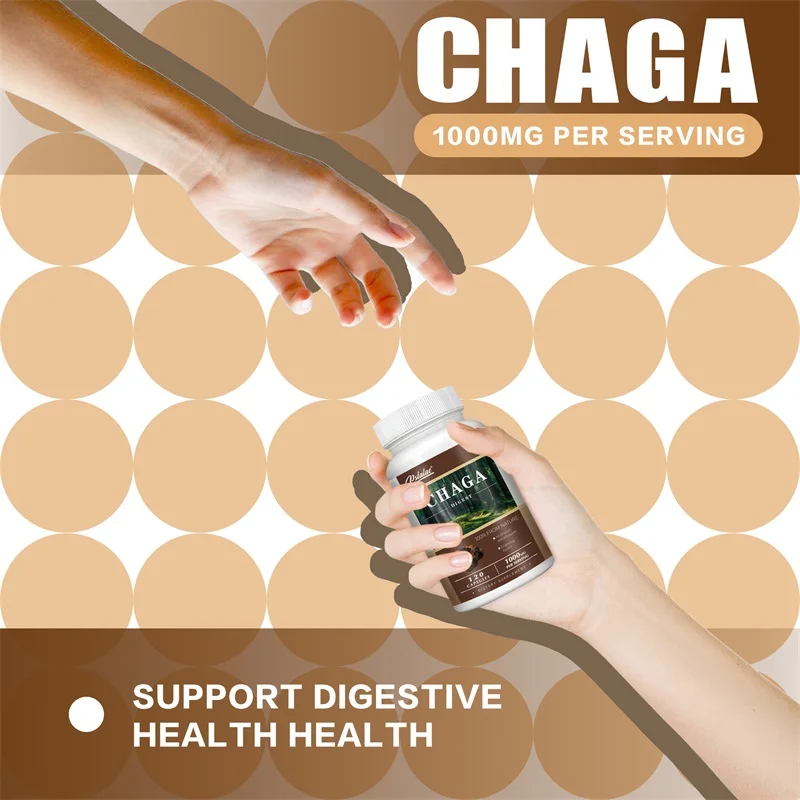 Chaga-capsules - voor de spijsvertering, gezondheid, energie en immuunondersteuning - niet-GMO