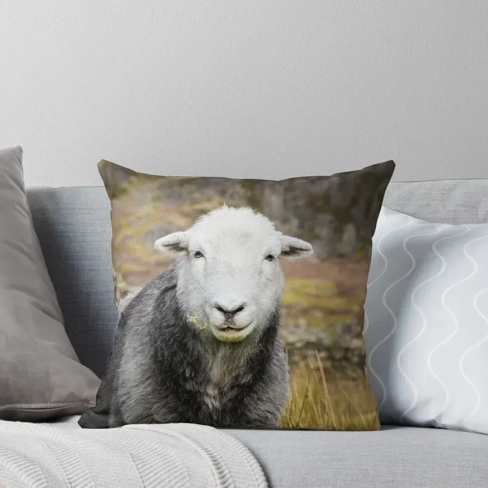 

Herdwick Sheep Portrait Throw Pillow christmas decorations for home 2025 Cusions Cover Cushions christmas supplies pillow