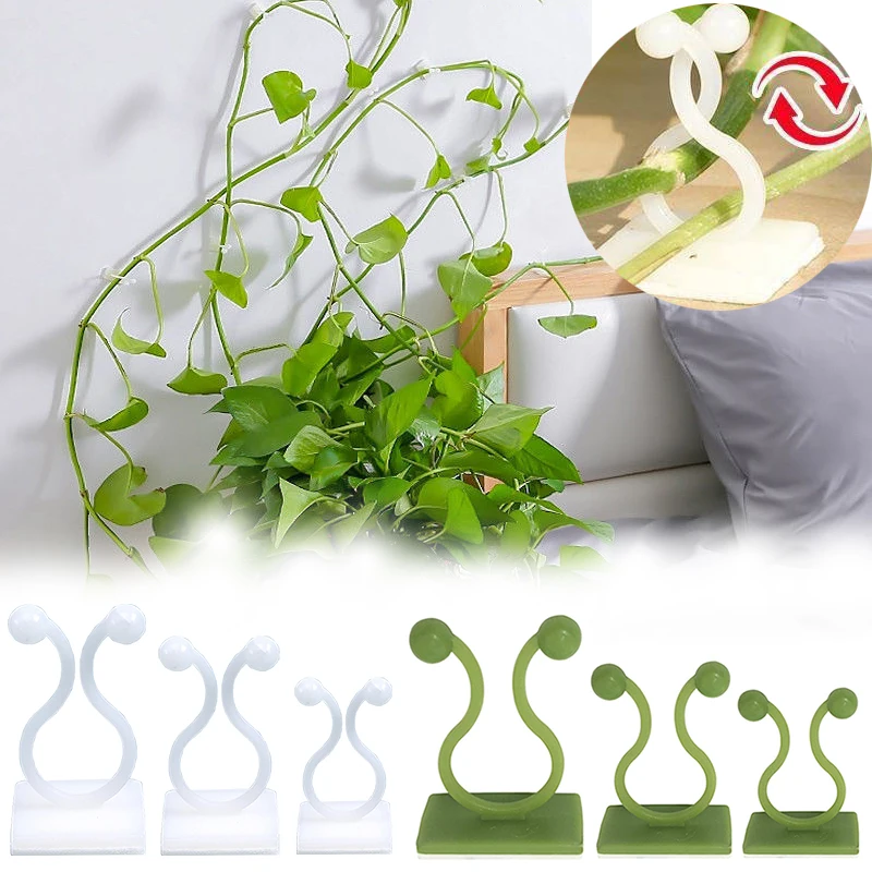 

Gardening Plant Climbing Wall Clips Vine Buckle Hook Rattan Clamp Fixator Self-Adhesive Plant Stent Invisible Vine Fixed Bracket