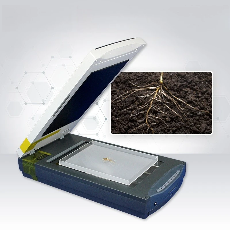 Plant root scanning system, professional root analysis after root washing, graphics
