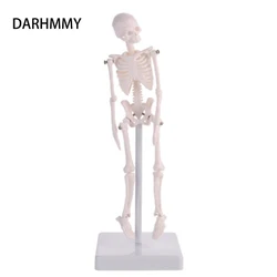 DARHMMY 21 cm Miniature Human Skeleton Model Whole Body Skeletal Simulation Medical Model