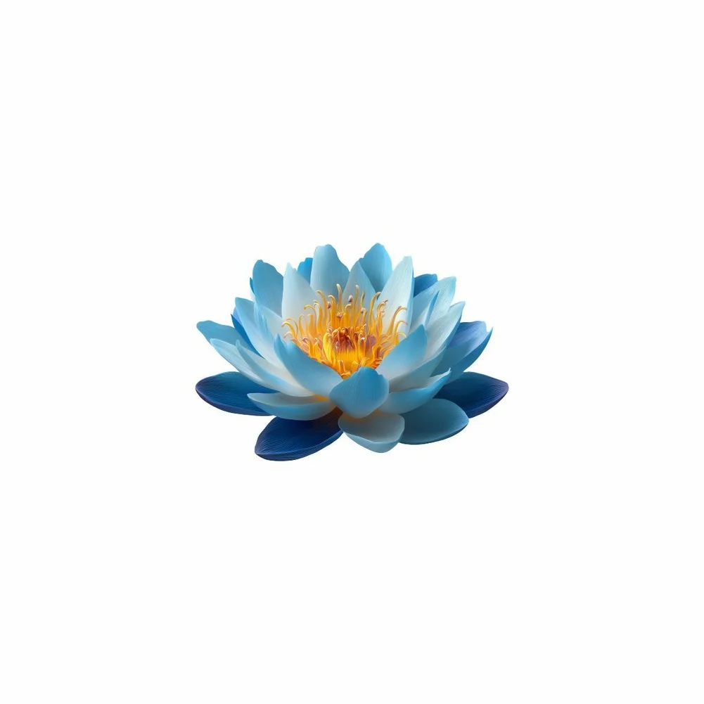 Waterproof Blue Lotus Glow in Dark Toilet Sticker PVC Bathroom Decor for Tiles Glass Mirrors 15x20cm Tranquil Ambience