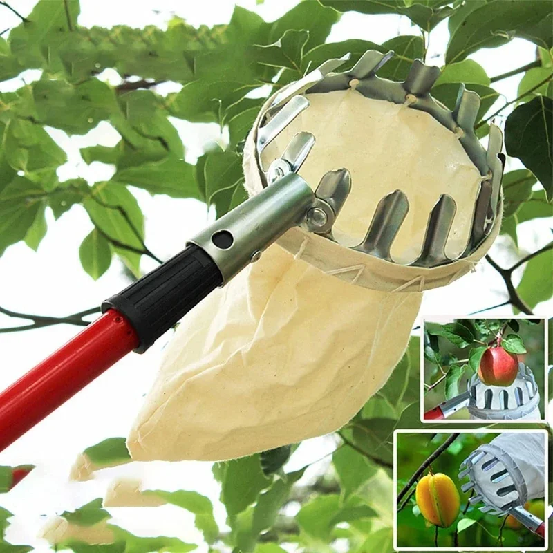 Imagem -05 - Metal Fruit Picker para Orchard High Tree Picking Tools Catcher Collection Pouch Suprimentos de Jardinagem Apple e Peach Fazenda e Jardim