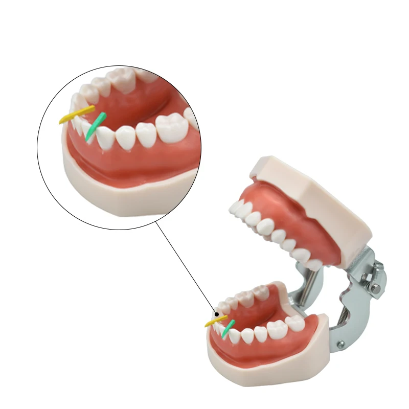 800 sztuk klinów dentystycznych z plastikową matrycą adaptacyjna stomatologia międzyzębowa akcesoria do zębów Diastema szczelina jednorazowa