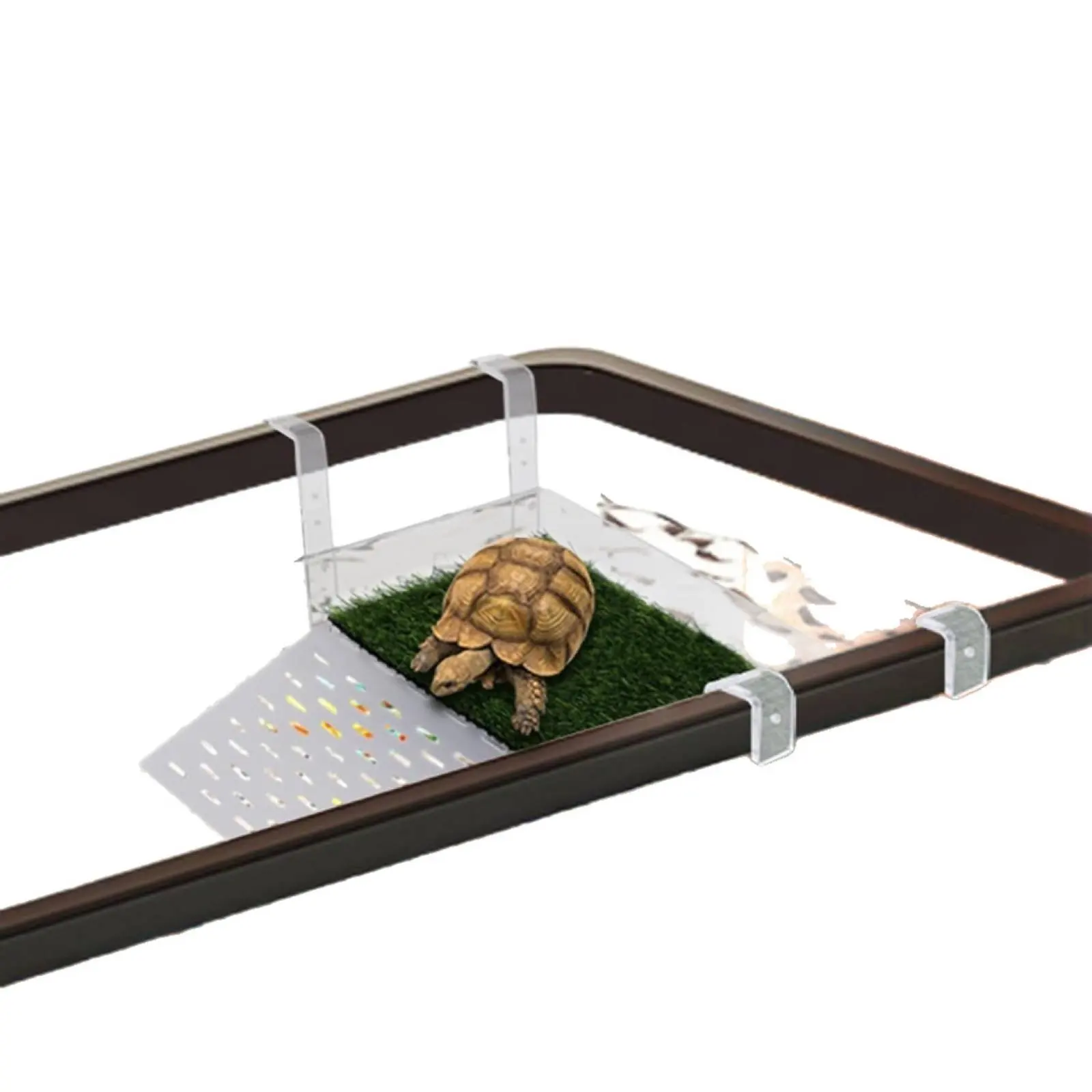 

Adjustable Turtle Climbing Dock Easy Installation Transparent Tortoise Resting Terrace over Aquarium Basking Area