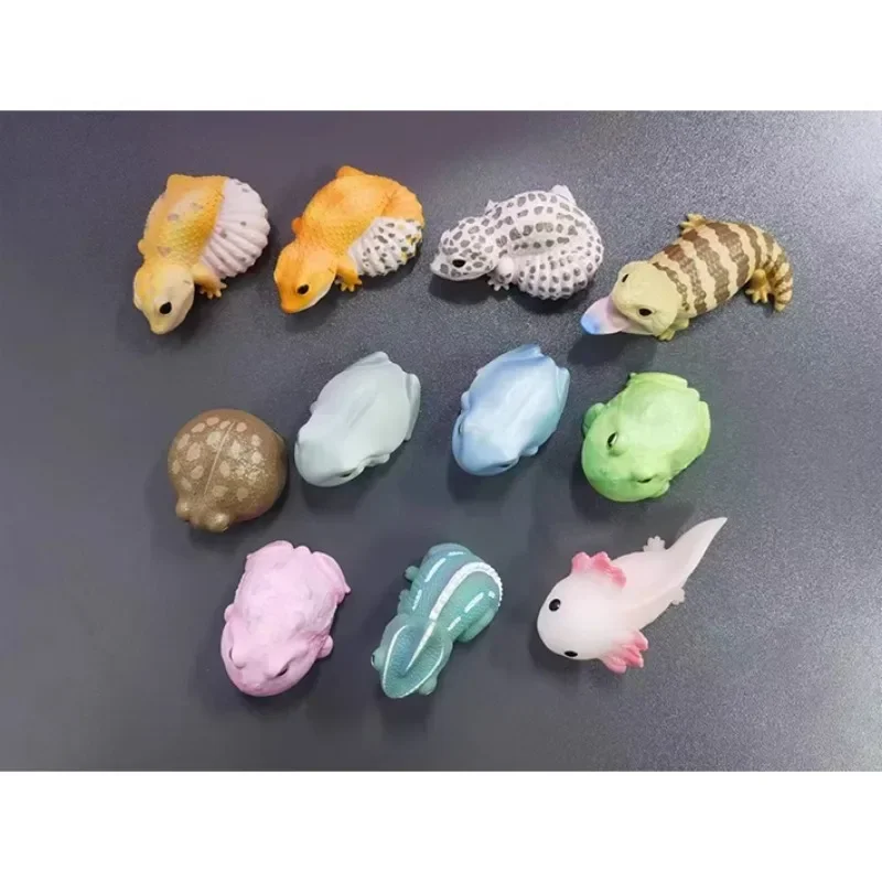 In Stock BANDAI Original CANDY TOY Chameleon Leopard Gecko Lizard Tree Frog Reptile Handheld Toy Anime Figure Toy Gift for Kids