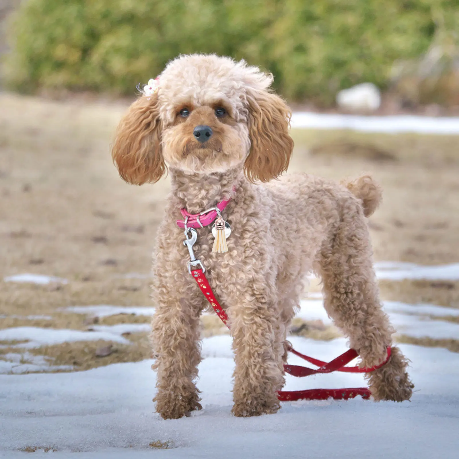 

20Pcs Tassel Pendant DIY Accessory Tiny Hanging Tassel Pendant for Jewelry Making Bag Key Chain DIY Accessory Necklace Pendants