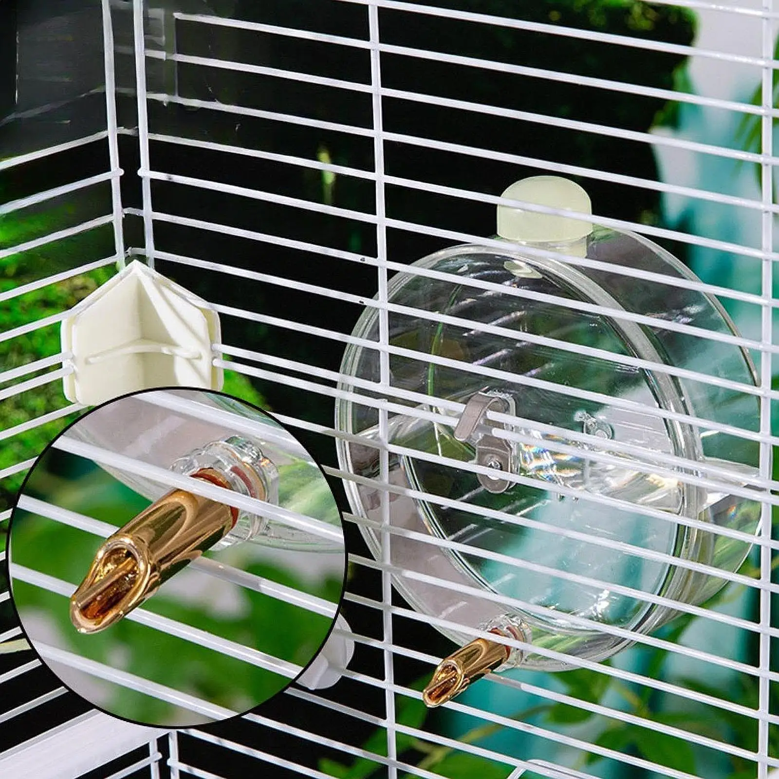 Parrot Bird Water Feeder,Automatic,Water Bottle,Bird Cage Accessories,Bird Waterer Bird Water Dispenser for Parrots Lovebirds