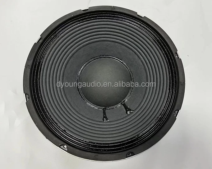 ​ ​ 12" professionele mid-bass-luidspreker - 220 mm magneet en 100 mm spreekspoelwoofer (1000 W RMS, krachtig PA-systeem, toerwaarde kast