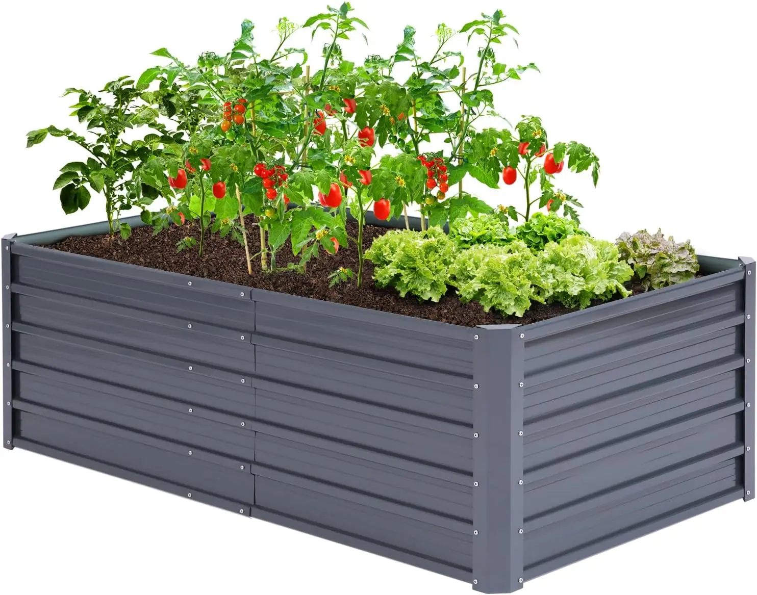 

Metal Raised Garden Bed Outdoor 6x3x1.9 FT Reinforced Galvanized Rustproof Colored Steel Planter Boxes for Vegetables, Heavy Dut