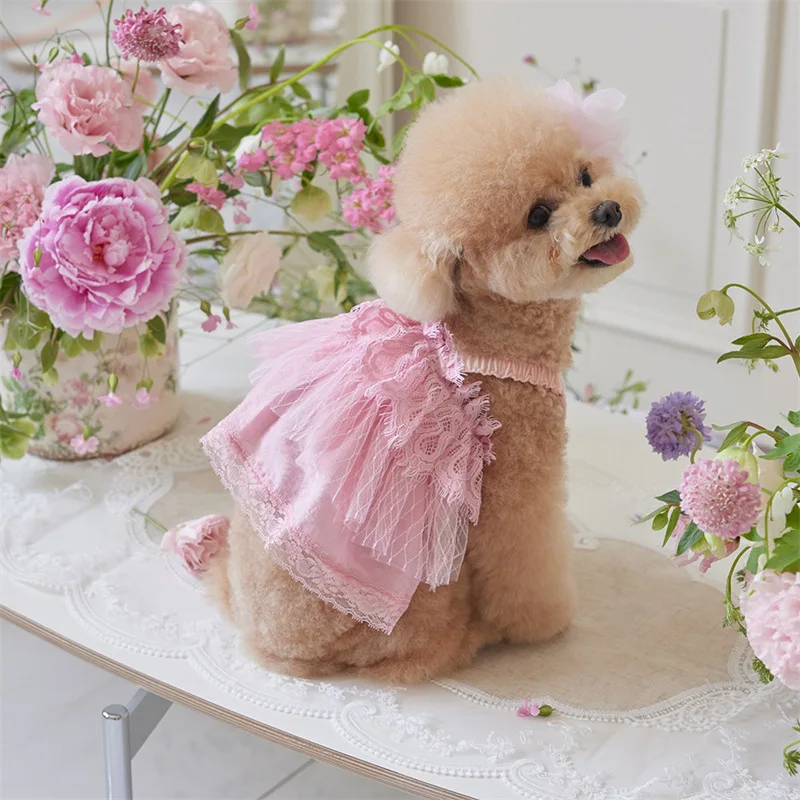 

Lace Wedding Dress Dress Small Medium Dog Golden Retriever Satsuma Edge Sheba Ropa De Perros Mascotas