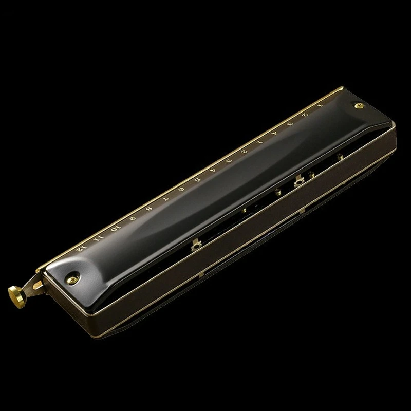 Chromatic harmonica 16-hole 12-hole harmonica high-end adult professional performance level student beginner
