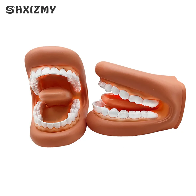 1 conjunto modelo dental poderosa boca fantoche de mão com língua para terapia de fala dentista/resource de aprendizagem educacional para crianças