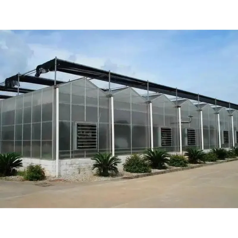 

Customized greenhouseWire-Rope PC Greenhouse Agricultural Versatile Polycarbonate Greenhouse with for Efficient Cucumber Farming