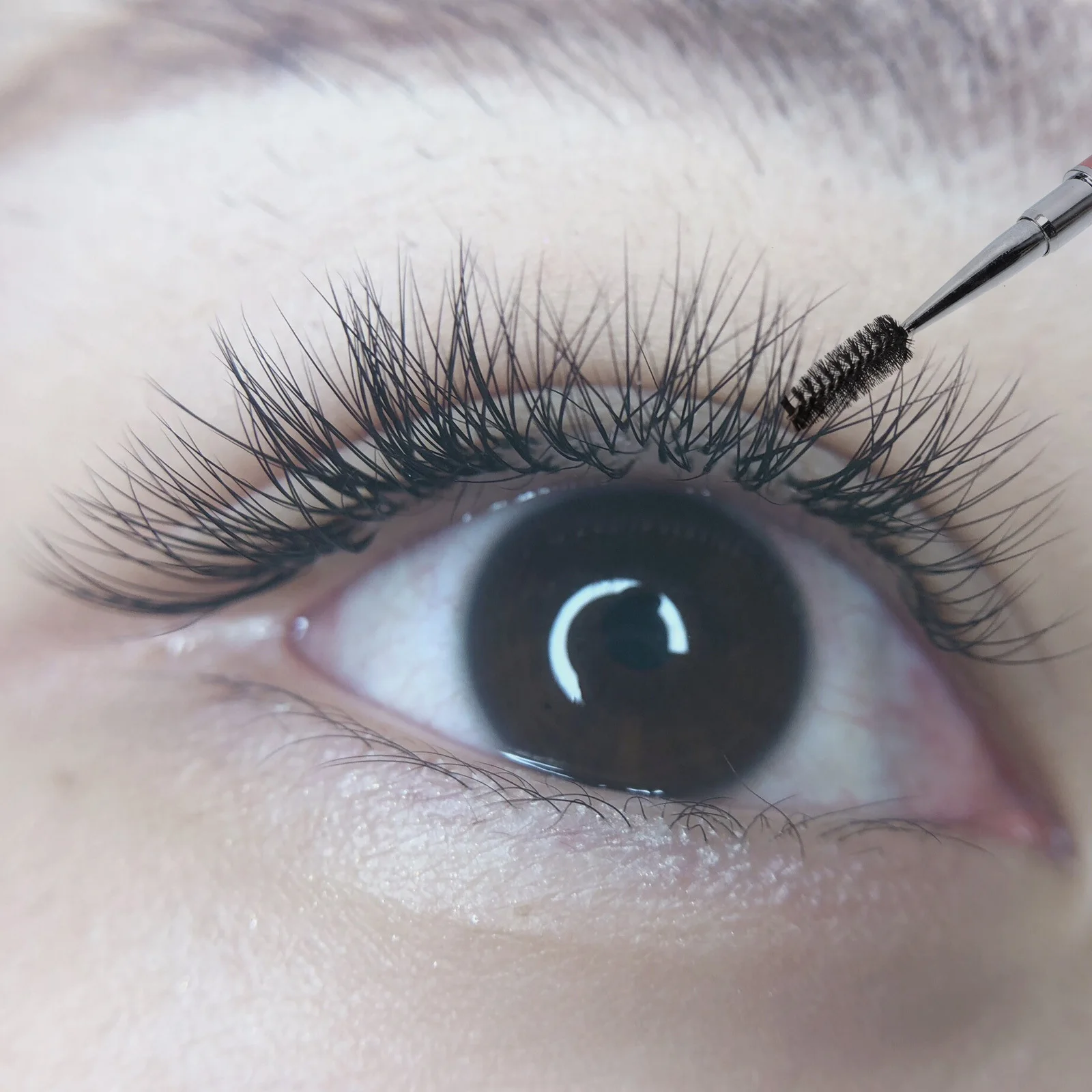 6 قطعة فرشاة الحاجب ماسكارا قضيب حجر الراين لاش مشط المحمولة ماكياج العرض لصالون المنزل استخدام البلاستيك رمش عصا أداة #3