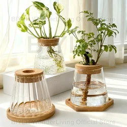 Glass Small Flower Pots for Plants Hydroponics Plant Pots Transparent Flower Vase With Tray Office Home Decoration Accessories