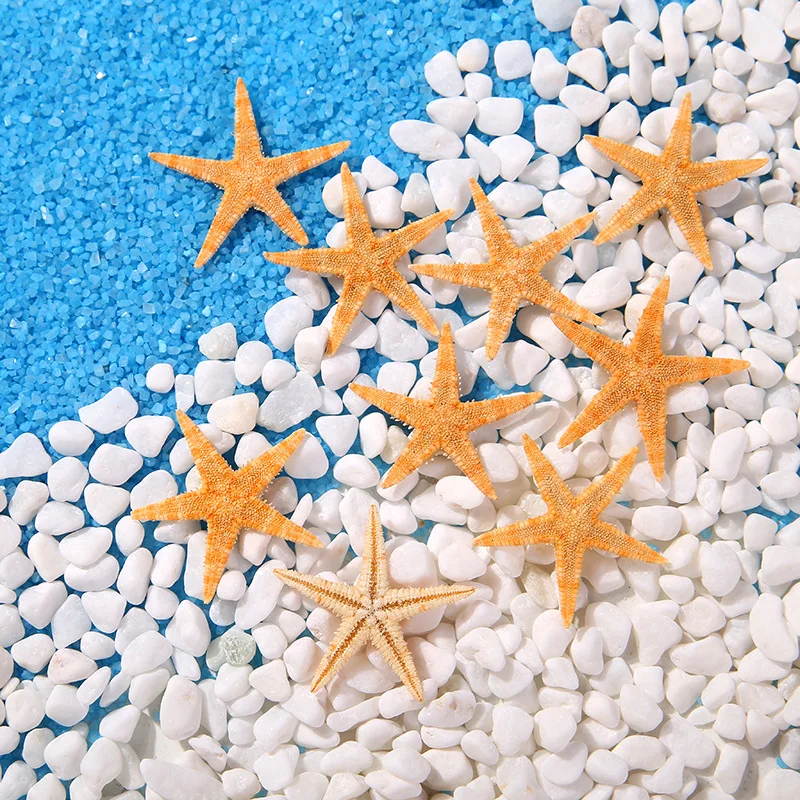 50pcs/ Bag Natural Starfish, Resin Starfish, White Stone DIY Beach Art Photography Background Sea Photo Accessories Decoration