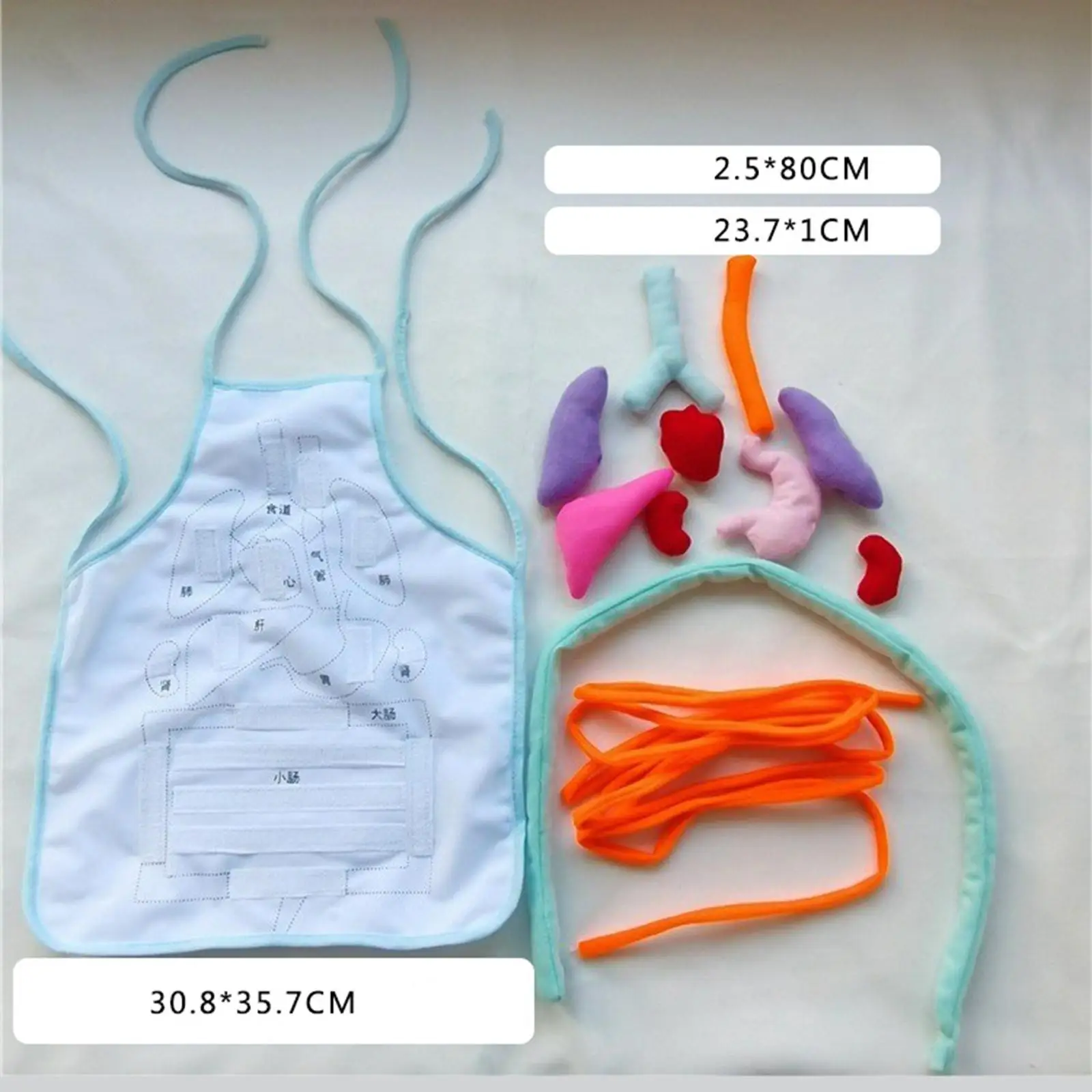 3D Human Organs Apron Plush Educational Toy for Kids Body Awareness Learning Homeschool Teaching Aid