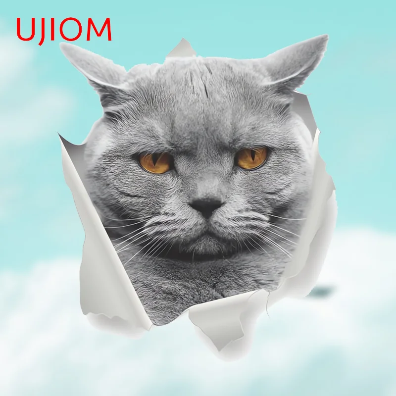 UJIOM Unhappy Animals Cat Tear Wall Sticker Scratch-Proof Decal Toilet Washing Machine Wash Basin Decor Staging Waterproof
