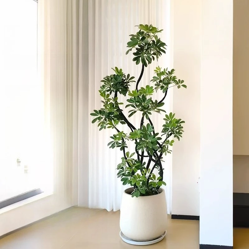 LTT Large Living Room Potted Indoor Floor-standing Large Duck Palm Plant Ornament
