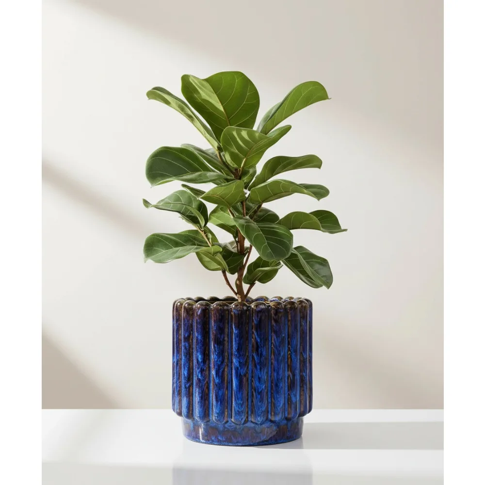 

12-дюймовый керамический горшок с дренажным отверстием - современный синий цветочный горшок для комнатных и уличных растений, подарок для домашнего декора