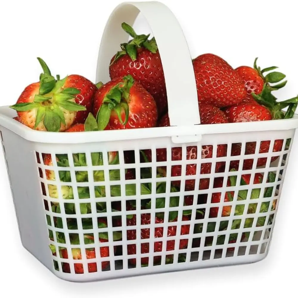 12-Count Mini Plastic Baskets with Handles for Fruits, Vegetables, Party Decor, and Storage