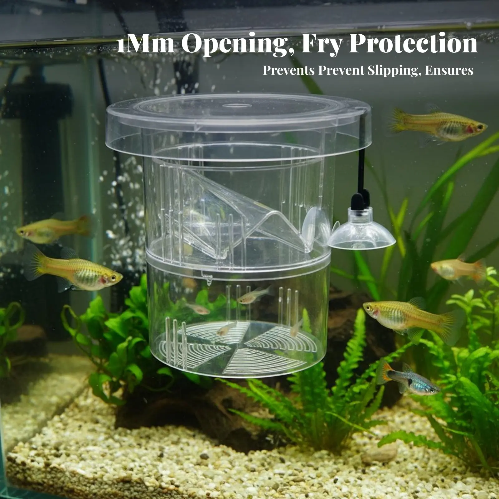 

Aquatic Breeder Box Suction Holder Mount Buoyant Aquatic Breeding Box Space Saving Easy to Clean for Aquarists