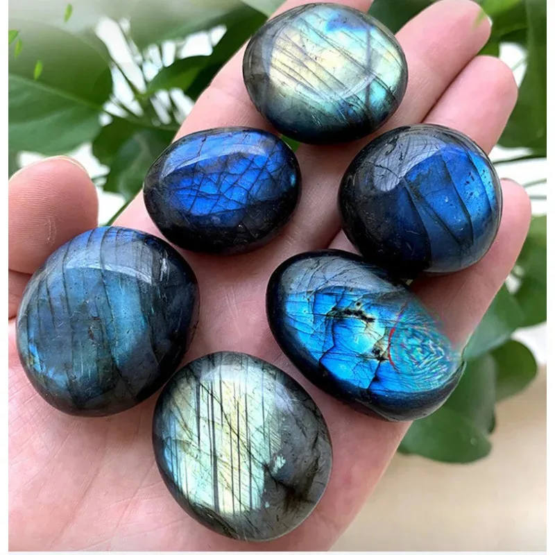 Ensemble de 2 pierres de palmier en labradorite naturelle - Cristaux polis pour la guérison des chakras et le Reiki