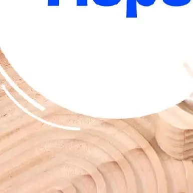 

Natural Wood Essential Oil Diffuser Air Freshener Round Ball Aroma Aromatherapy Diffuser For Home Office Car Bedroom Living Room