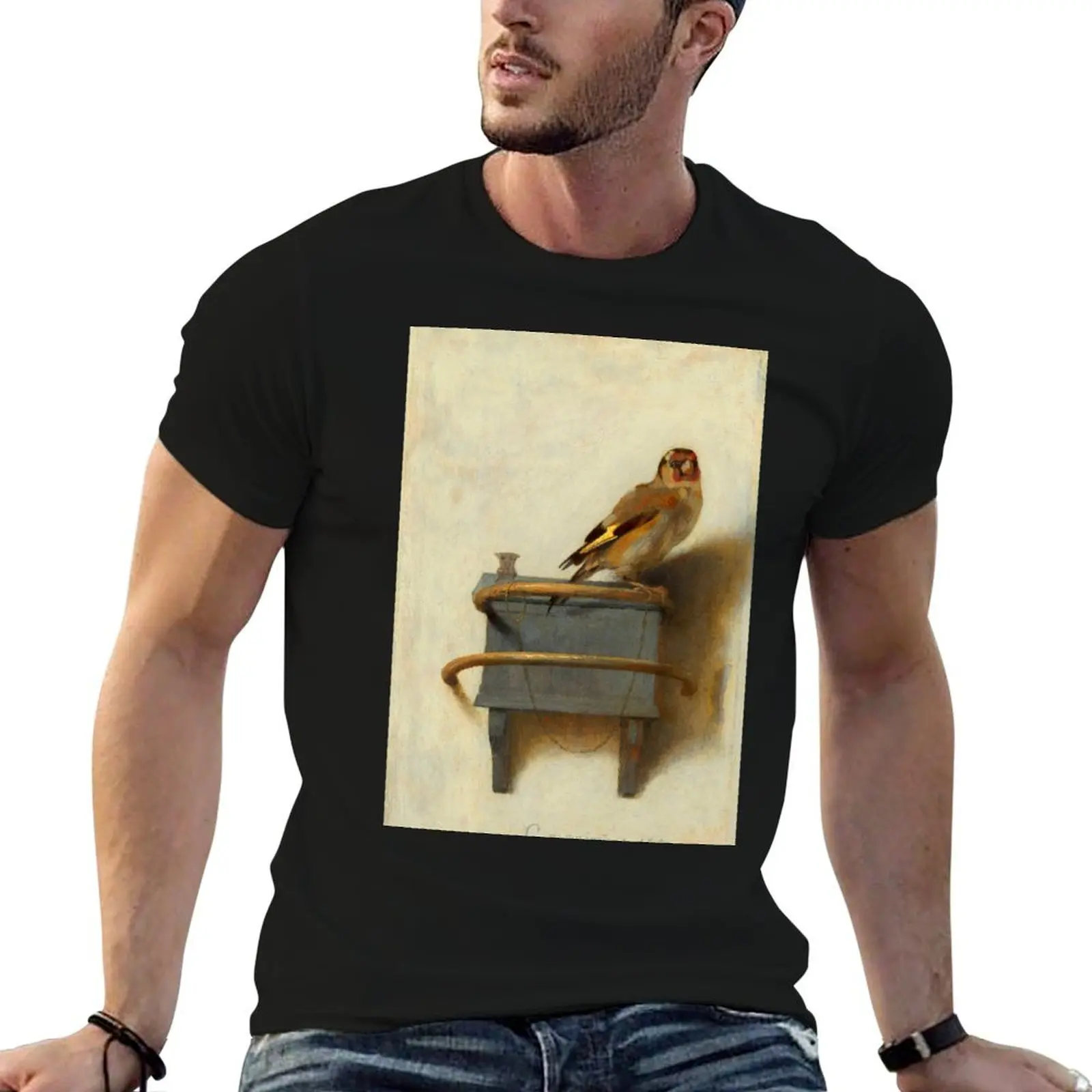 

Carel Fabritius The Goldfinch T-Shirt plain graphics mens graphic t-shirts funny